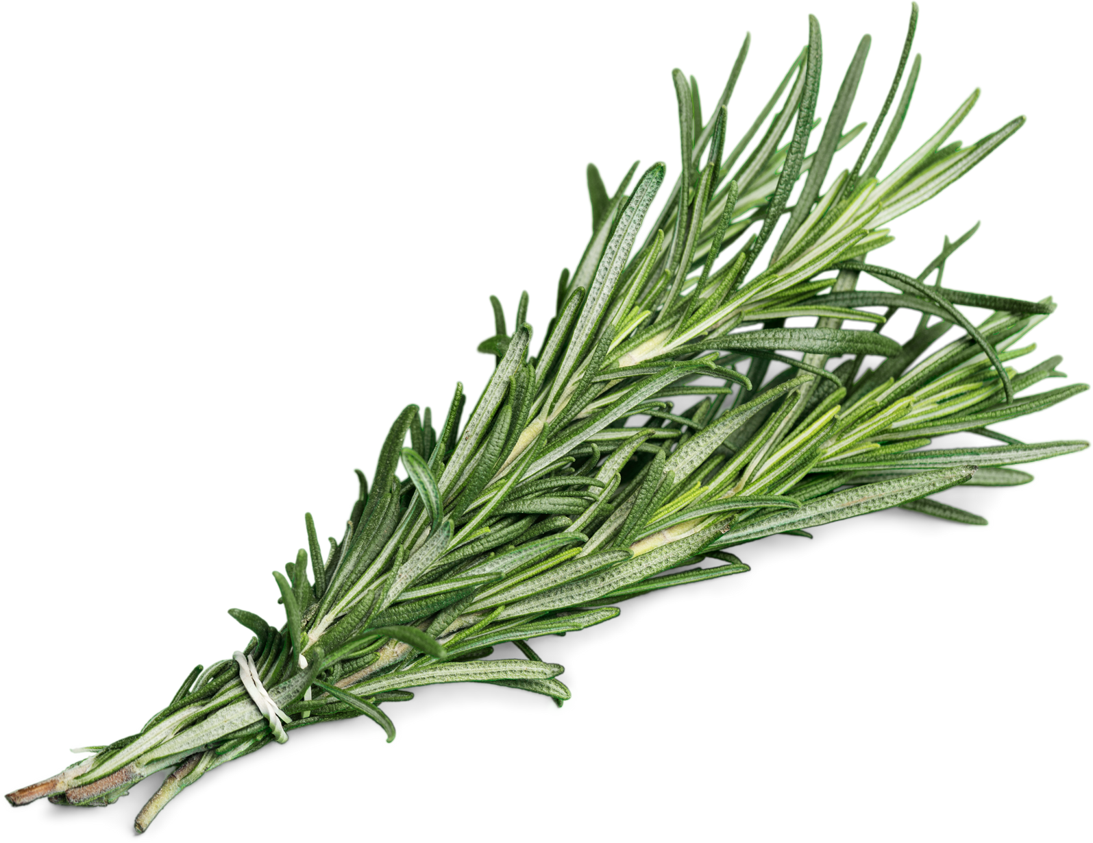 Rosemary.