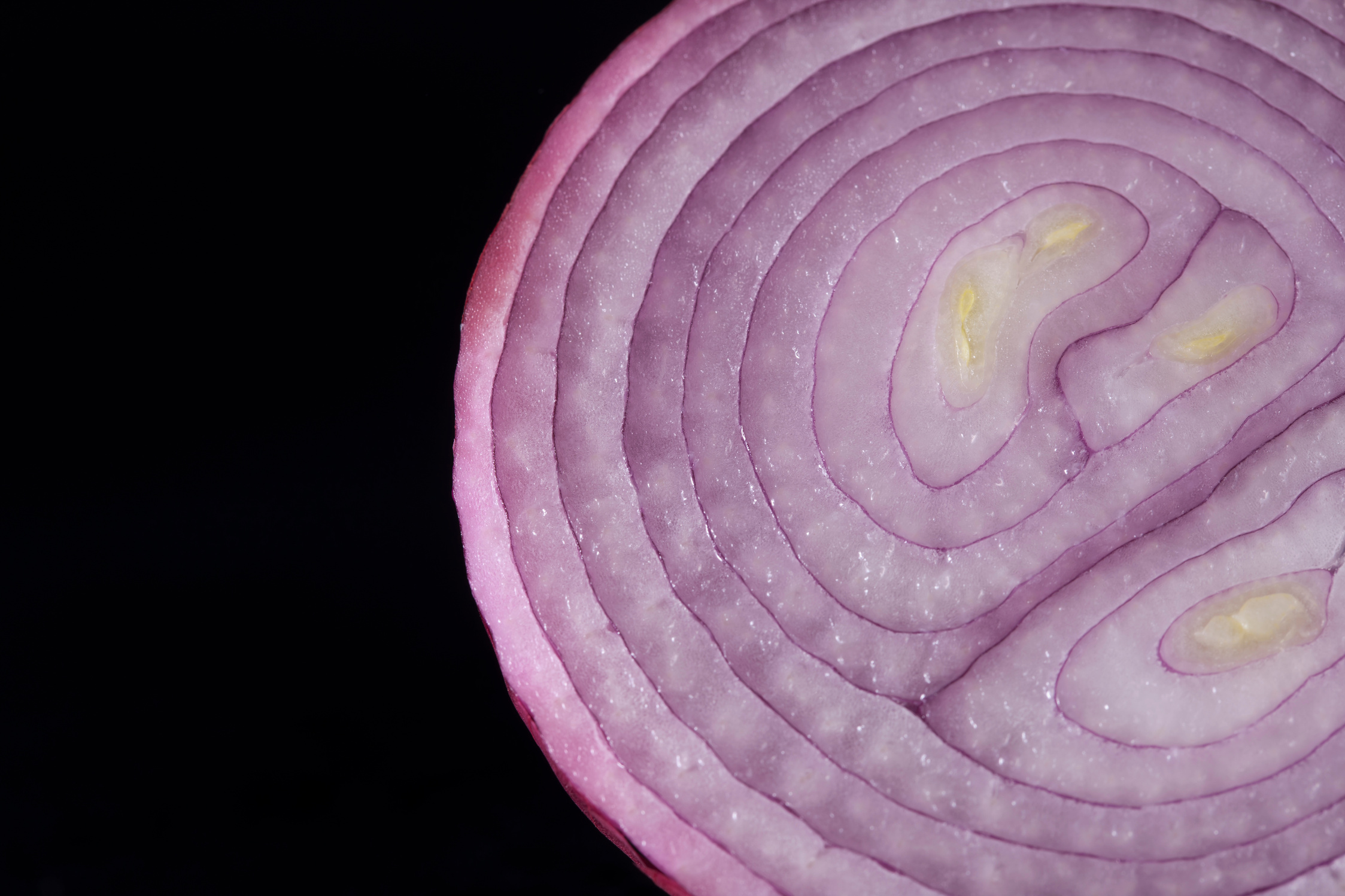 Purple onion